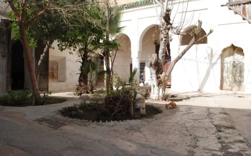 Rénover un Riad en 2026 : Le guide complet des coûts, des étapes et des pièges à éviter