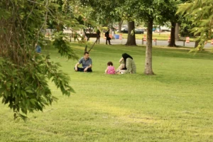 Family enjoys a relaxing day at the park.