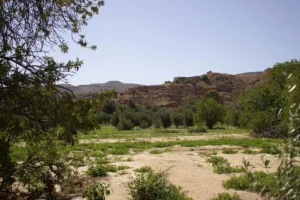 Scenery in the Atlas Mountains in Morocco.