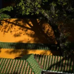 A bench sitting in front of a yellow wall
