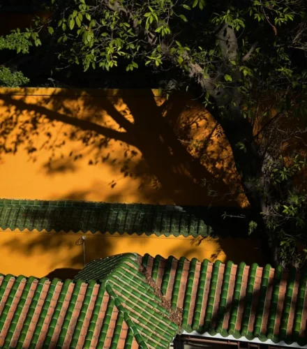 A bench sitting in front of a yellow wall