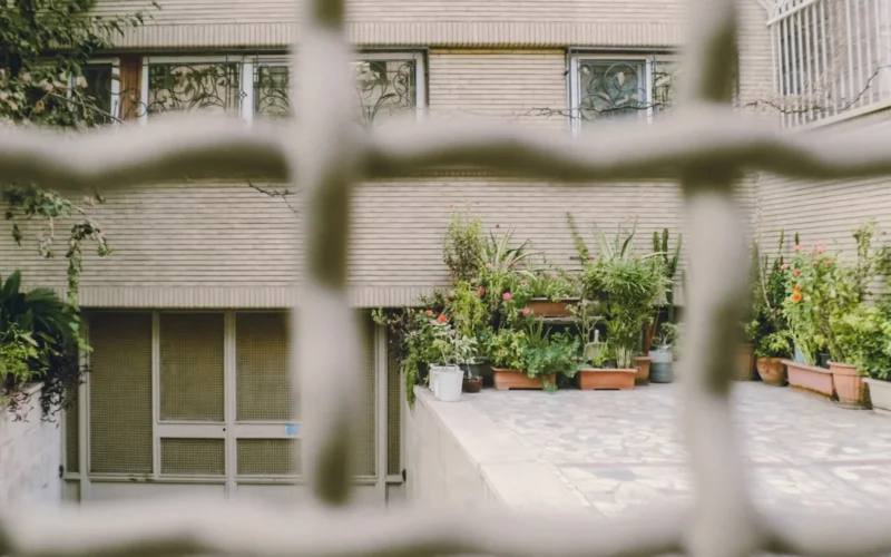 A quiet green corner, seen from afar.