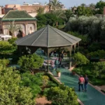 a group of people walking around a lush green park