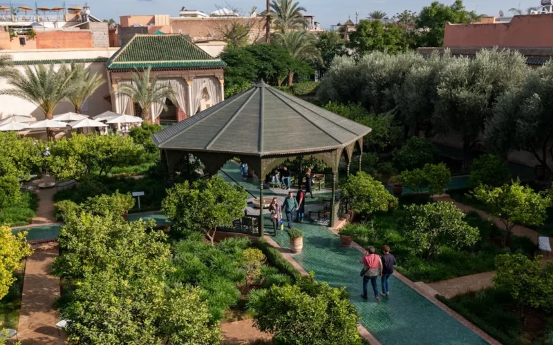 a group of people walking around a lush green park