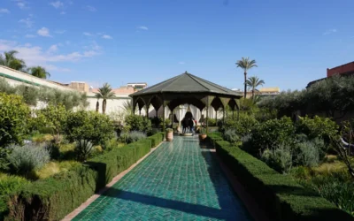people walking on pathway near white concrete building during daytime