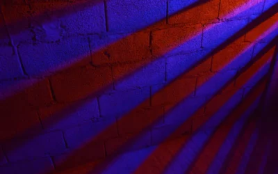 purple and black brick wall