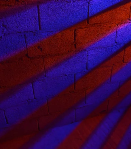 purple and black brick wall