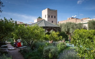 a couple sitting on a bench in the middle of a garden