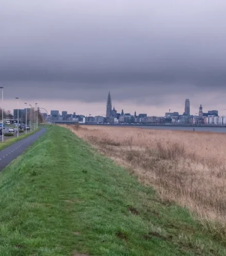 City skyline across a grassy embankment and dry reeds.