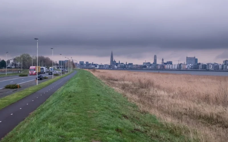 City skyline across a grassy embankment and dry reeds.
