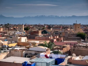 a view of a city with mountains in the background