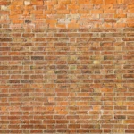 Old brick wall in sunshine