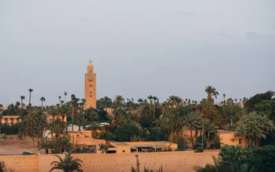 Moroccan minaret tower surrounded by palm trees