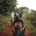 man in blue and white shirt riding brown horse during daytime