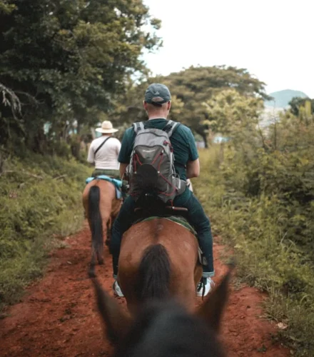 man in blue and white shirt riding brown horse during daytime