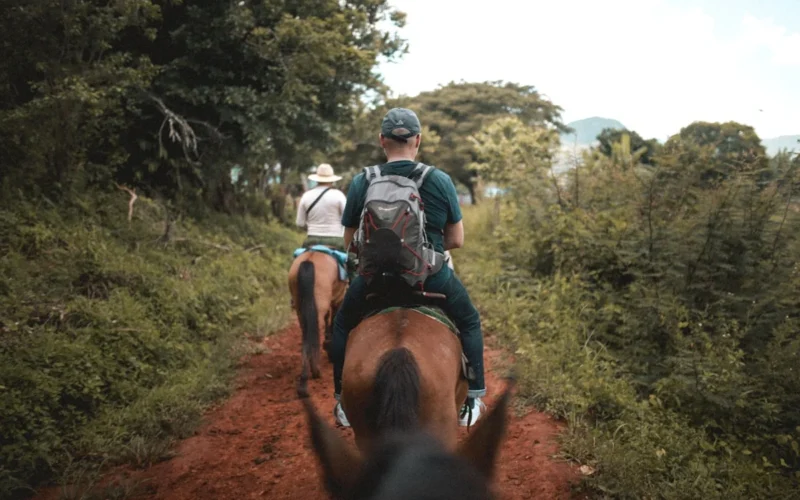 man in blue and white shirt riding brown horse during daytime