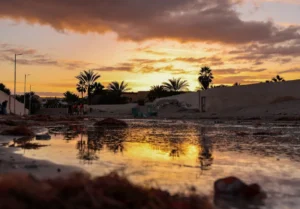 Sunset reflects on water puddles with palm trees.
